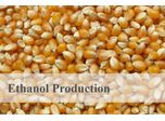 Application of Decanter Centrifuge in Ethanol Production Process