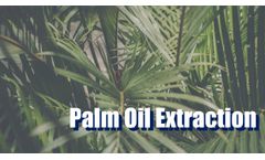 Palm Oil Extraction