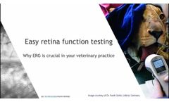 Easy Retina Function Testing: Why ERG is crucial in your veterinary practice? - Video