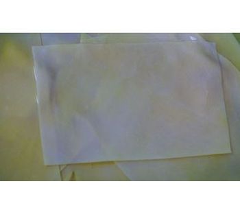 TissX - Biological Tissue Patch