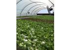 NFT Hydro - NFT Hydro Commercial Hydroponic Projects