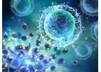 CAR-T - Cell Therapies for Hematologic Cancers
