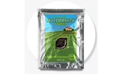 Indogulf BioAg - Mycorrhiza Powder