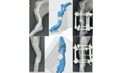 Steris - 3D Bone Prints