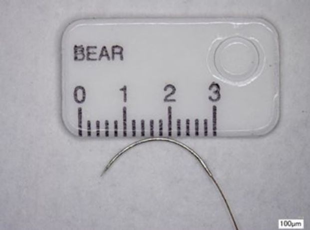 BEAR - Microsurgery Nylon Suture