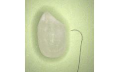 BEAR - Model Micro Series - Suture with Needle for Microsurgery for Training / Laboratory use