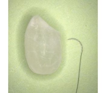 BEAR - Model Micro Series - Suture with Needle for Microsurgery for Training / Laboratory use