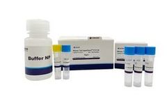 Foregene - Mouse Tail Super Direct PCR Kit