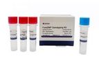 Foregene - Model ForeSNP - Genotyping Kit