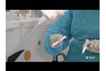 Connecting Life | Symani Surgical System features - Video