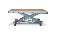 Shank - Modified Portable Floor Surgery Table
