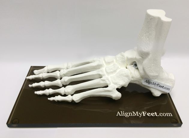 AlignMyFeet - Magnetic Foot Models
