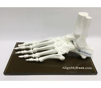 AlignMyFeet - Magnetic Foot Models