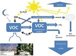 What are VOCs? What’s the harm? How to manage VOCs?