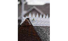 Wall & Fence Spikes