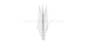 PC Base Stainless Steel Anti Bird Spikes