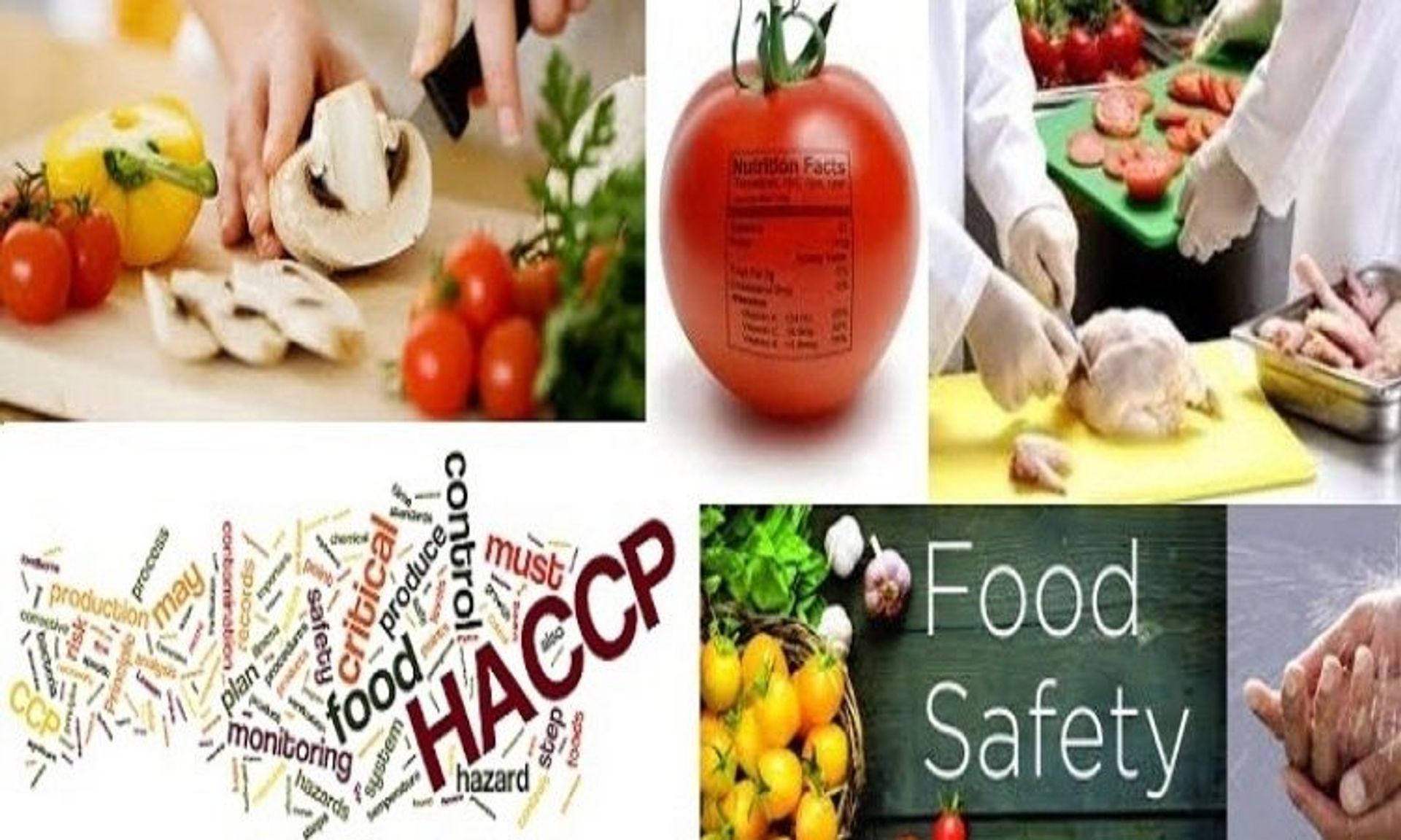 BD Food Safety Consultants LLC