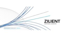 Zilient Peripheral Guidewire Brochure