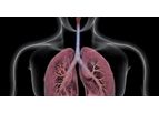 The State of Lung Imaging