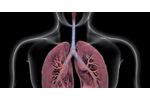 The State of Lung Imaging