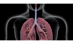 The State of Lung Imaging