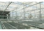 Greencon - Venlo Glass Greenhouses