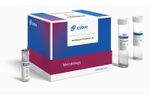 Zybio - Blood Culture Positive Sample Pretreatment Kit