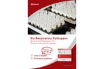 Sansure - Six Respiratory Pathogens Nucleic Acid Diagnostic Kit (PCR-Fluorescence Probing) Brochure
