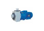 Someflu - Model ECO - Horizontal Close-Coupled Plastic Pump Equipped with Mechanical Seal