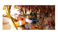 Marine Growth Assessment Services