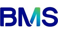 BMS K Group
