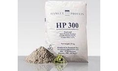 Hamlet - Protein Product