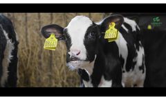 HP 300 - Ease the transition from calf to ruminant for faster calf growth - Video