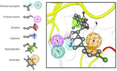 Everything You Want to Know About Pharmacophore Model Construction