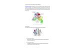 Protein-Protein Interaction Sites Prediction—CD ComputaBio