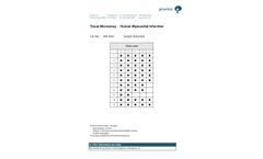 Provitro - Cardiovascular Tissue Microarrays (TMA) - Brochure