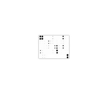 RayBio - Model C-Series - Membrane-Based Antibody Arrays