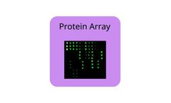 RayBio - Model SARS-CoV-2 - Spike Protein Overlapping Peptide Array