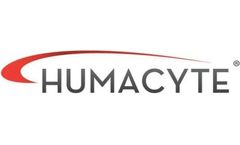 Clinical implementation of the Humacyte human acellular vessel: Implications for military and civilian trauma care