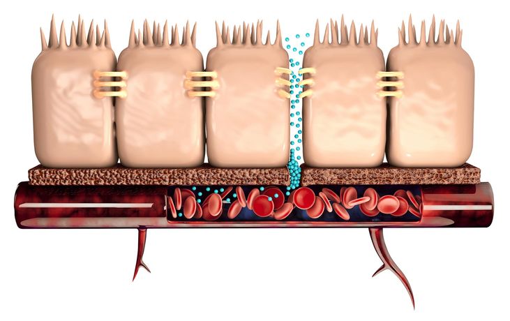 Vaiomer - Bacterial Translocation Services