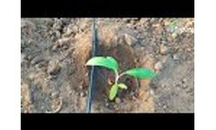 Driptime Irrigation System Contact Details - Video