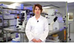 Pioneers in Regenerative Medicine - U.S. Stem Cell, Inc USRM - Video