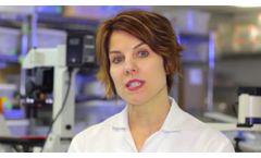 Tissue Banking at U.S. Stem Cell, Inc USRM - Video