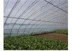 Xinfu - Agricultural Film for Greenhouse Covering