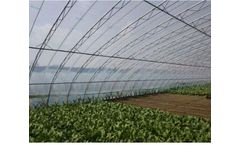 Xinfu - Agricultural Film for Greenhouse Covering