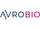 AVROBIO - Model AVR-RD-06 - Gene Therapy for Gaucher Disease Type 3