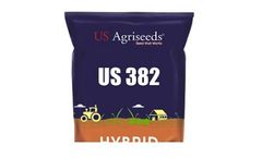 US Agriseeds - Model US 382 - Hybrid Rice Seeds