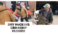 Dry Bucking CBD Hemp Flower - Video