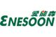 Enesoon Holding Group Company (`Enesoon`)