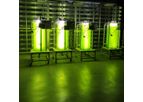 Woofaa - Model STEM - Microalgae Photobioreactor Educational Kit